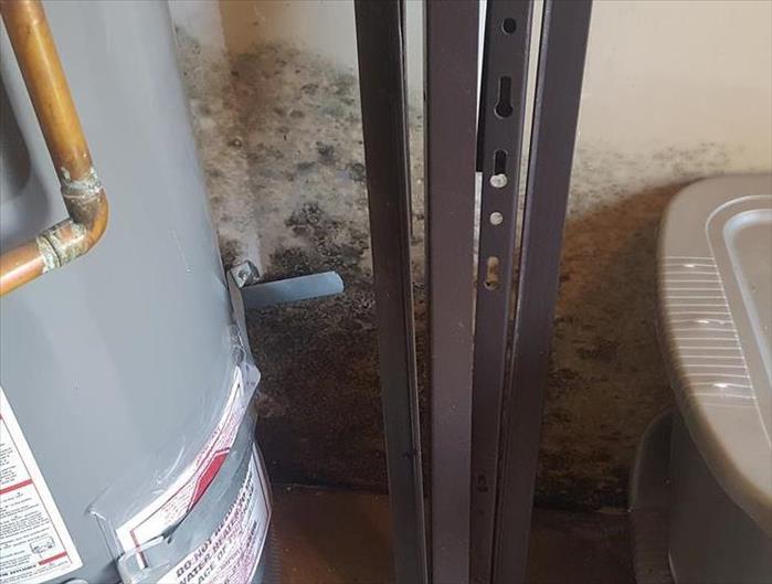 mold on wall behind water heater